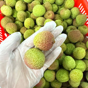 All Fruit at UMall Australia