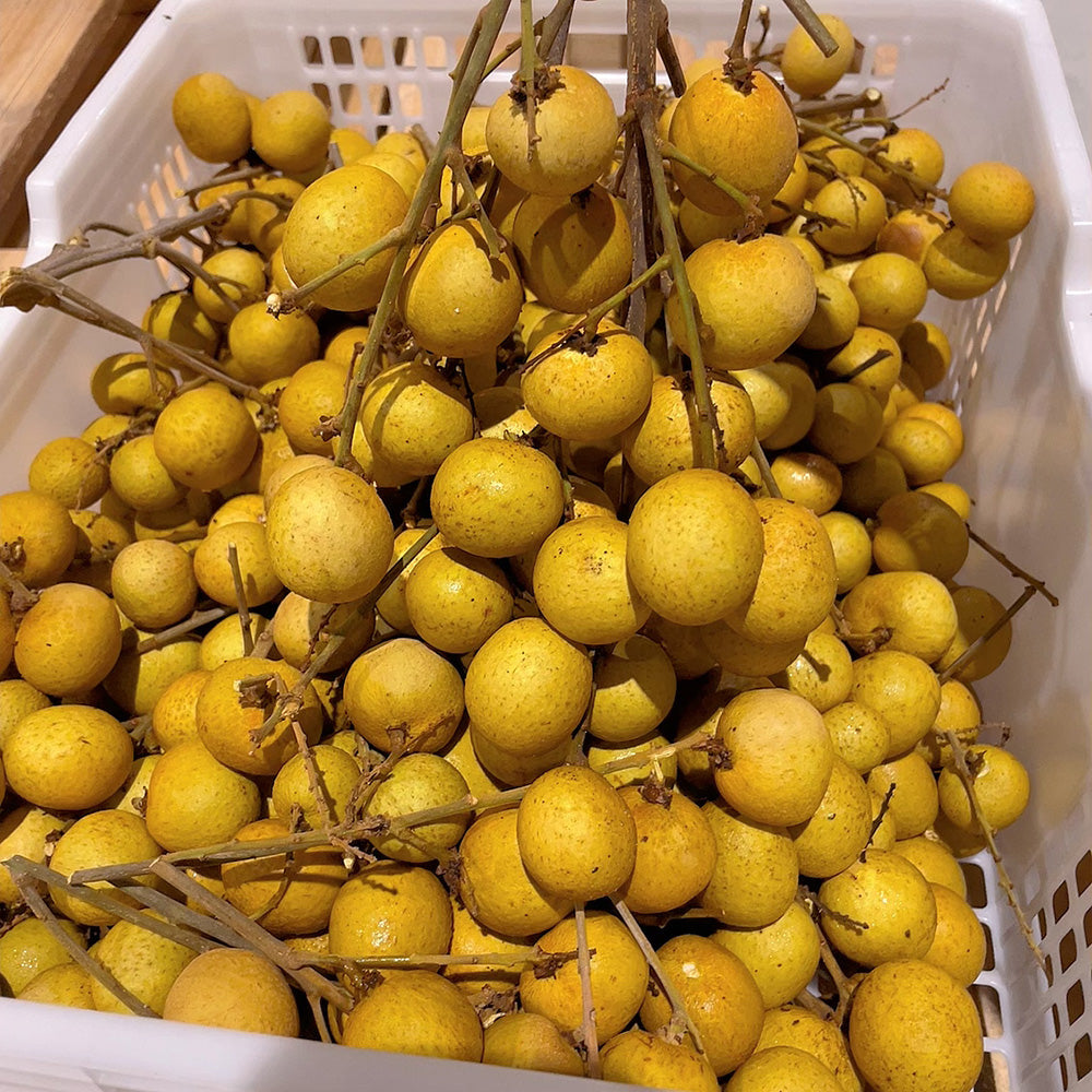 [Fresh]-Local Queensland Longan-Approximately 500g-1