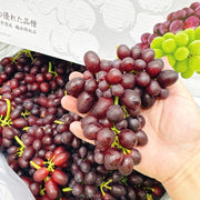 Tất cả trái cây at UMall Australia