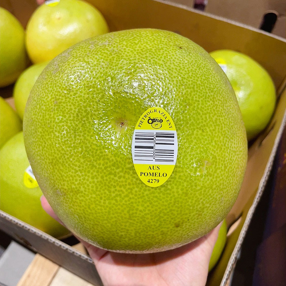 [Fresh]--Large-Australian-Local-Pomelo-(also-known-as-Shatian-Pomelo)---1-Piece-1