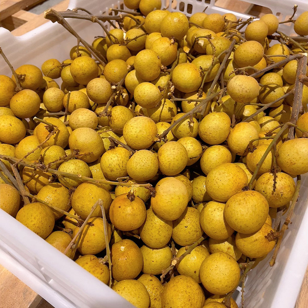 [Fresh]-Local Queensland Longan-Approximately 500g-1