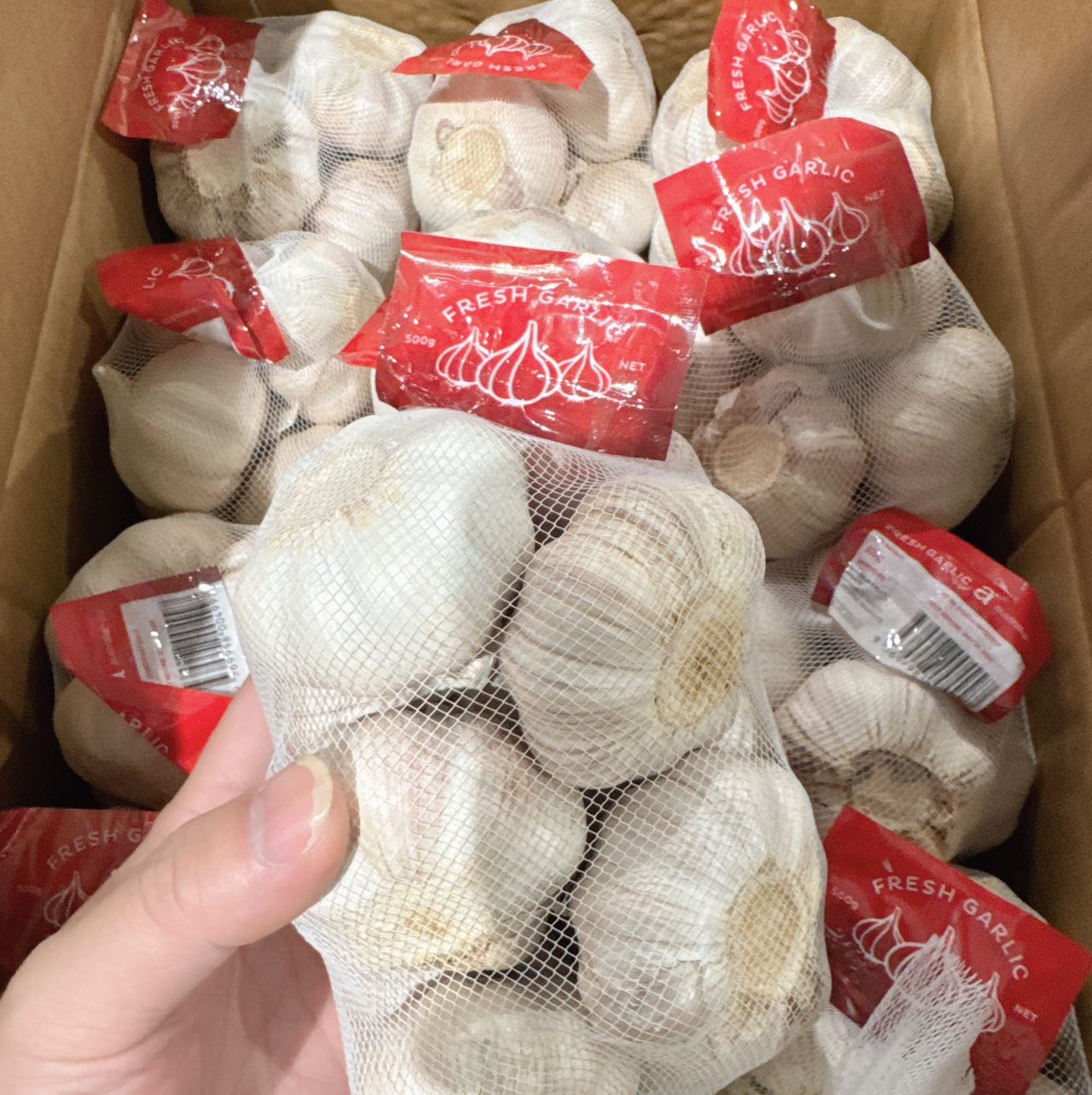 [Fresh]-Dried-Garlic-Heads-Approximately-500g-1