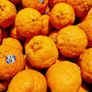 All Fruit at UMall Australia