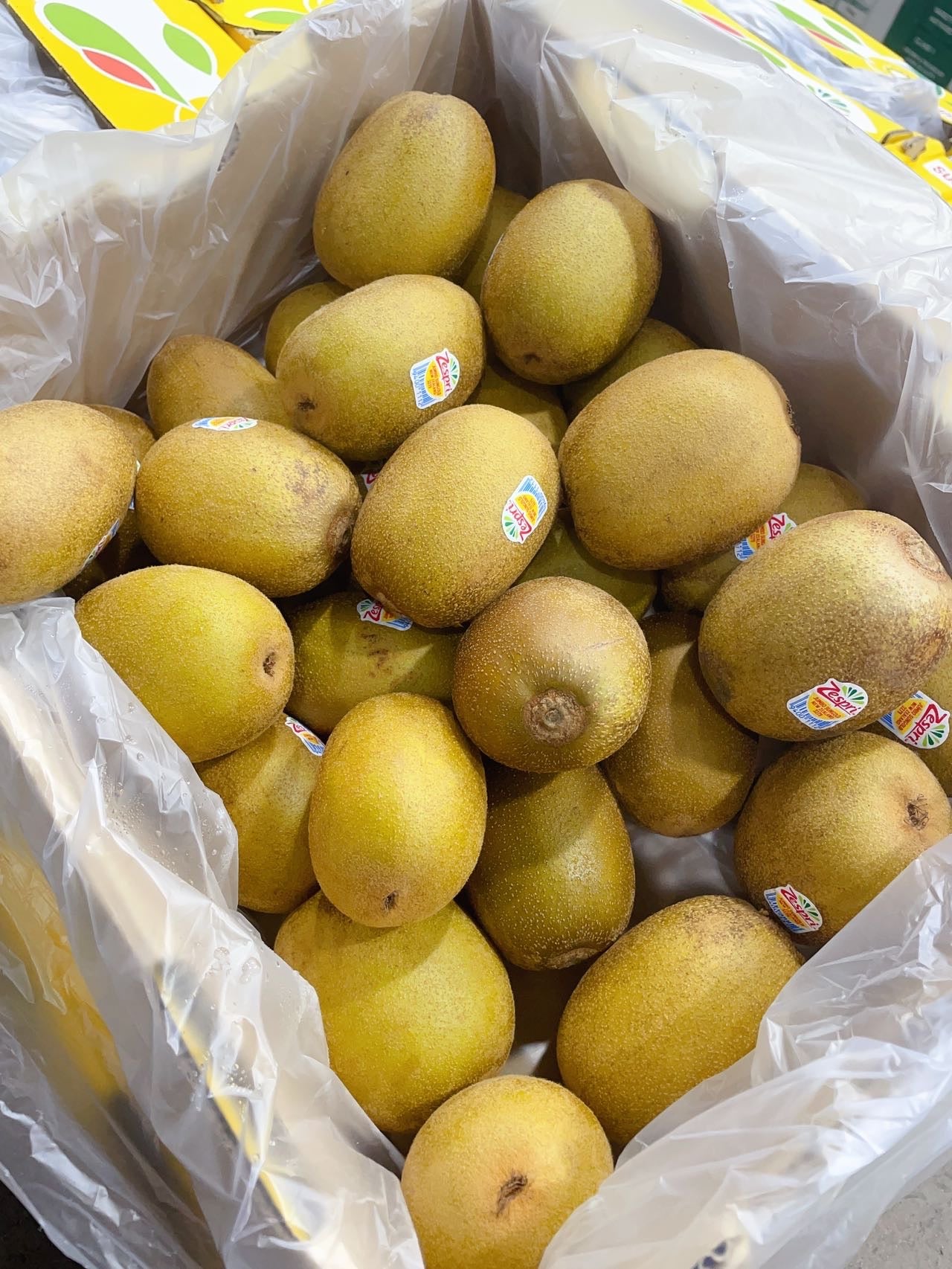 Zespri New Zealand Large Kiwifruit Box of 5.5kg Umall Sydney's