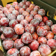 All Fruit at UMall Australia