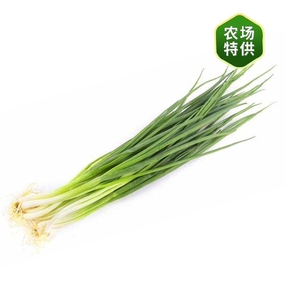 [Fresh]-Bundle-of-Spring-Onions-1