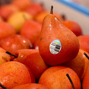 All Fruit at UMall Australia