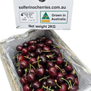 All Fruit at UMall Australia