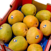 Tất cả trái cây at UMall Australia