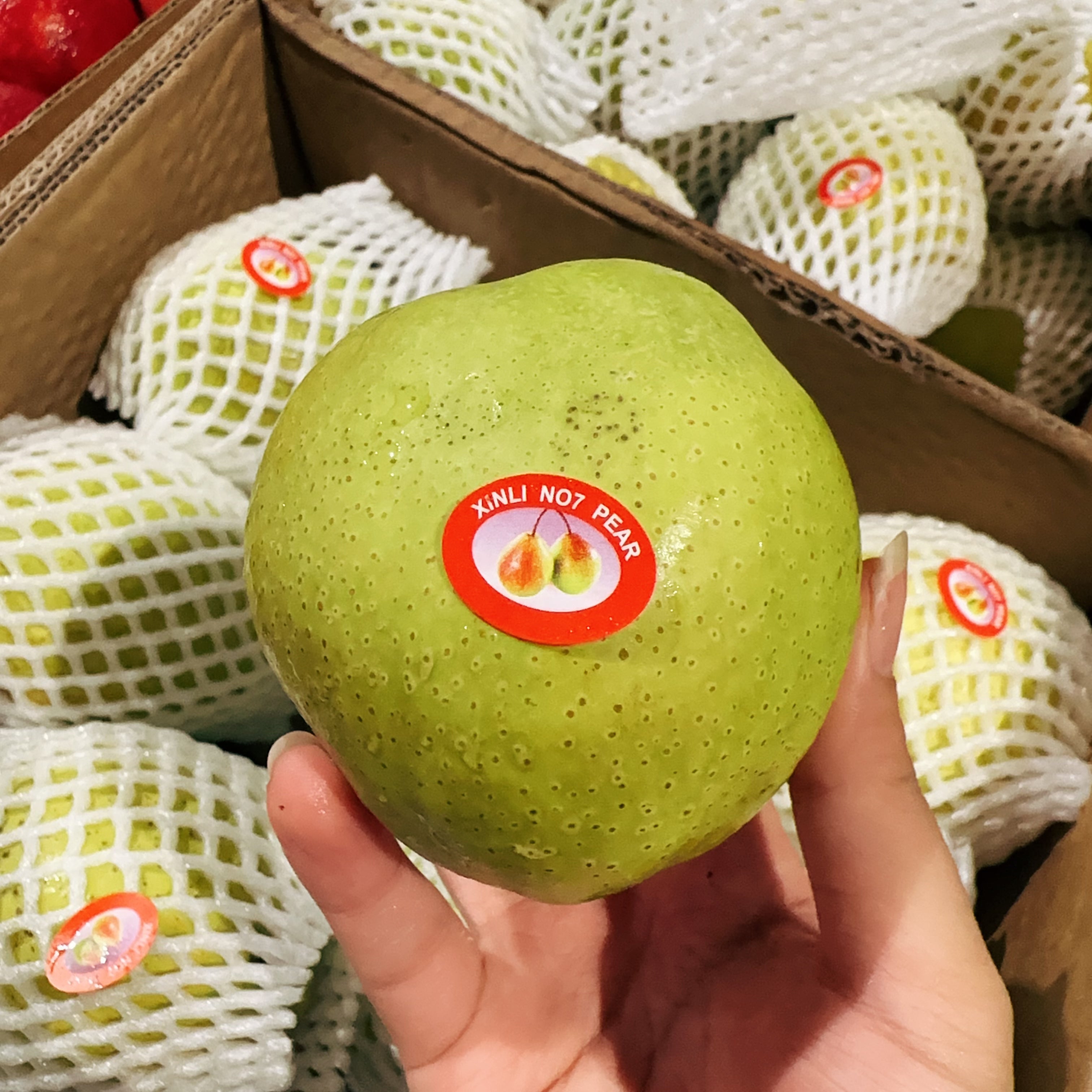 [Fresh]-Xinjiang-Fragrant-Pears-Approximately-1kg-1