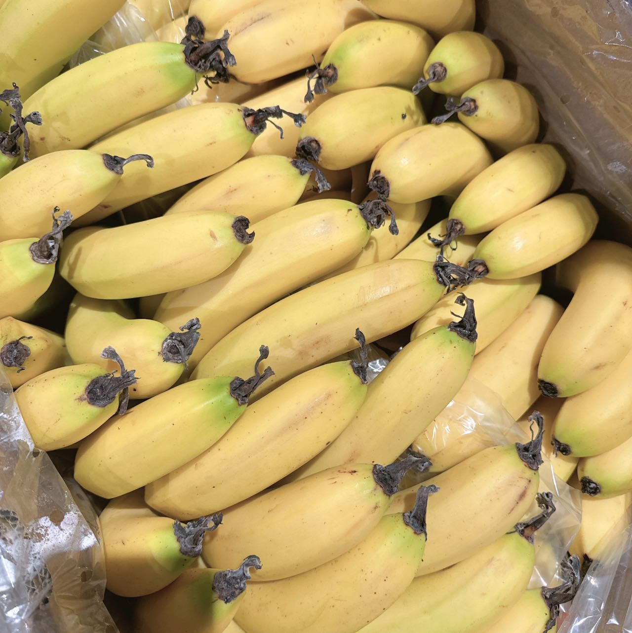 [Fresh]--Bananas-Approximately-1kg-1