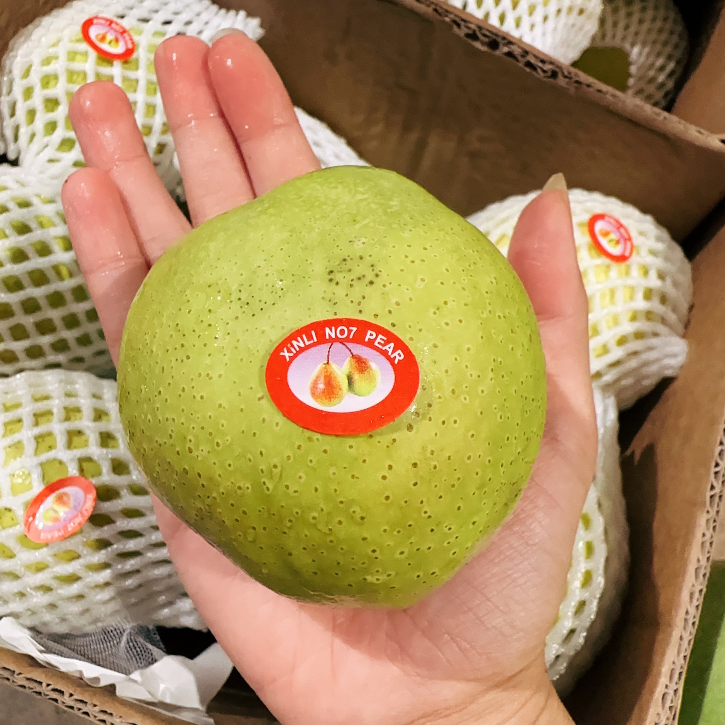 [Fresh]-Xinjiang-Fragrant-Pears-Approximately-1kg-1