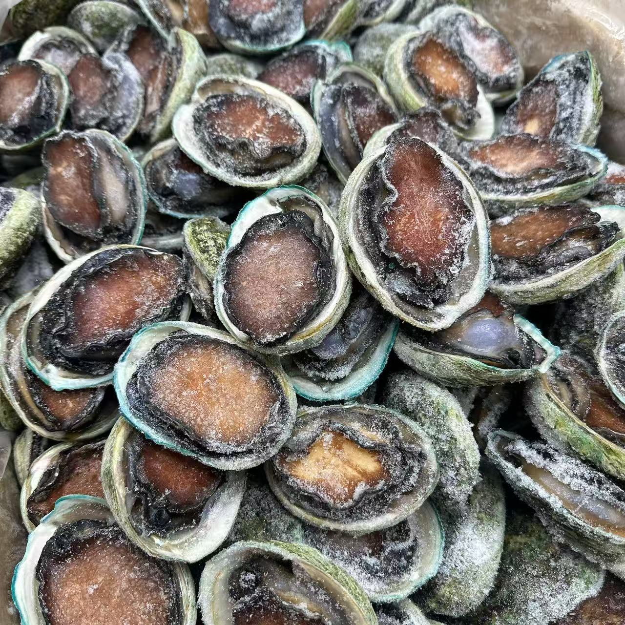 Tasmanian Black Gold Frozen Abalone - 6 Pieces. 500g – Umall ...