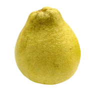 All Fruit at UMall Australia