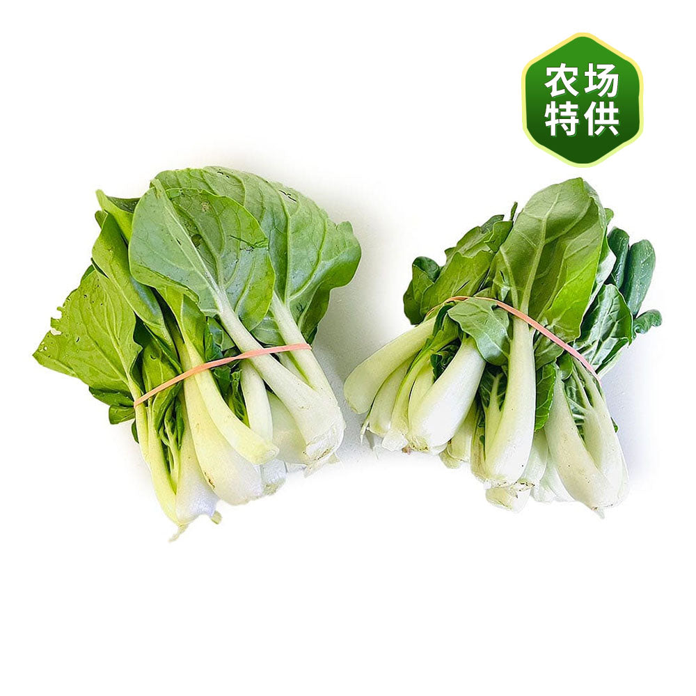 [Fresh]-Bundle-of-Jiangmen-White-Radishes-1