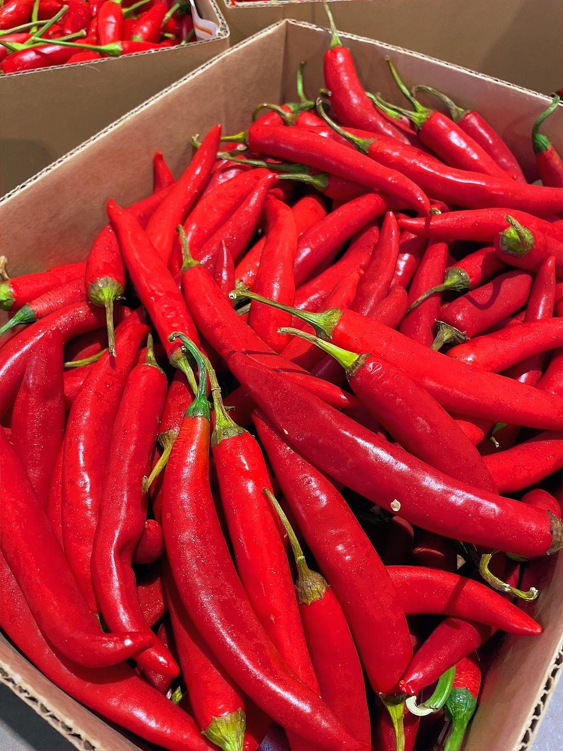 [Fresh]-Red-Chili-Peppers-Approximately-250g-1
