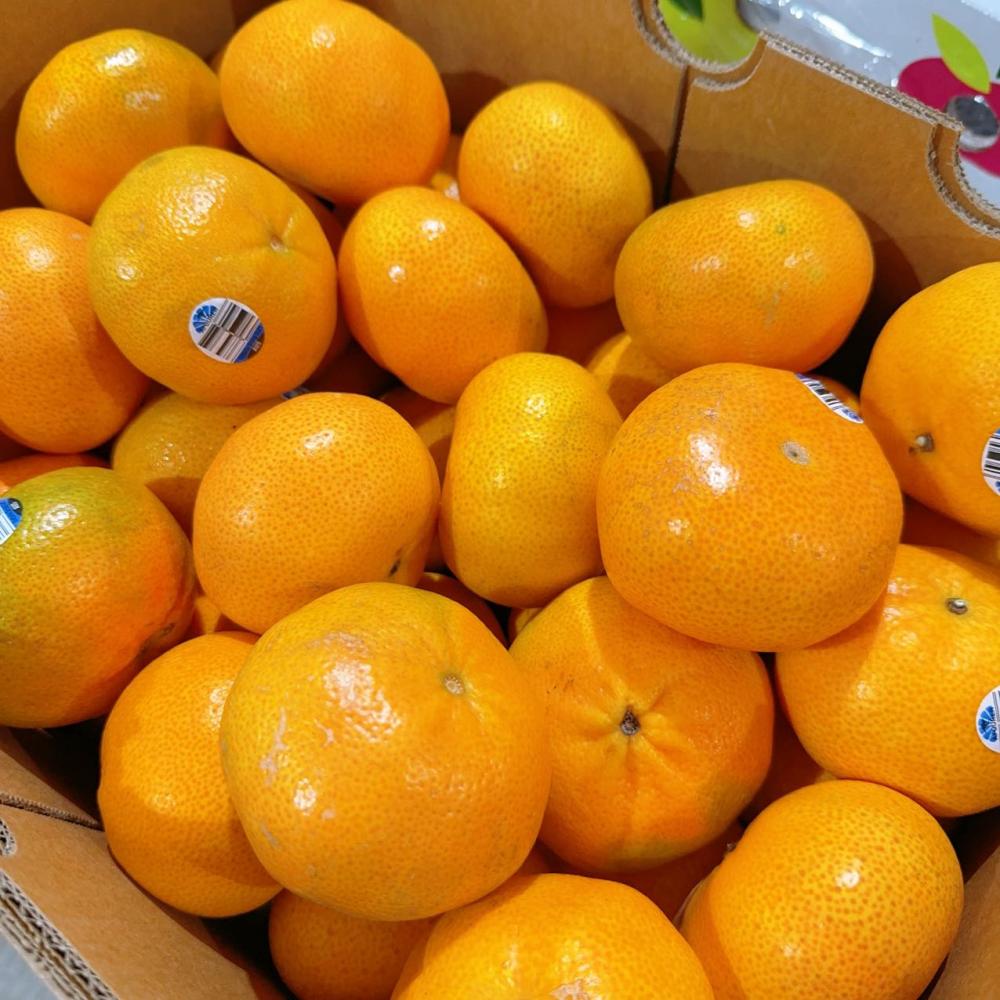 [Fresh]-Seedless-Mandarin-Oranges-Approximately-900-1000g-1