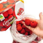 All Fruit at UMall Australia