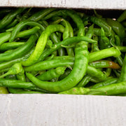 Bán chạy nhất at UMall Australia
