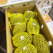 All Fruit at UMall Australia