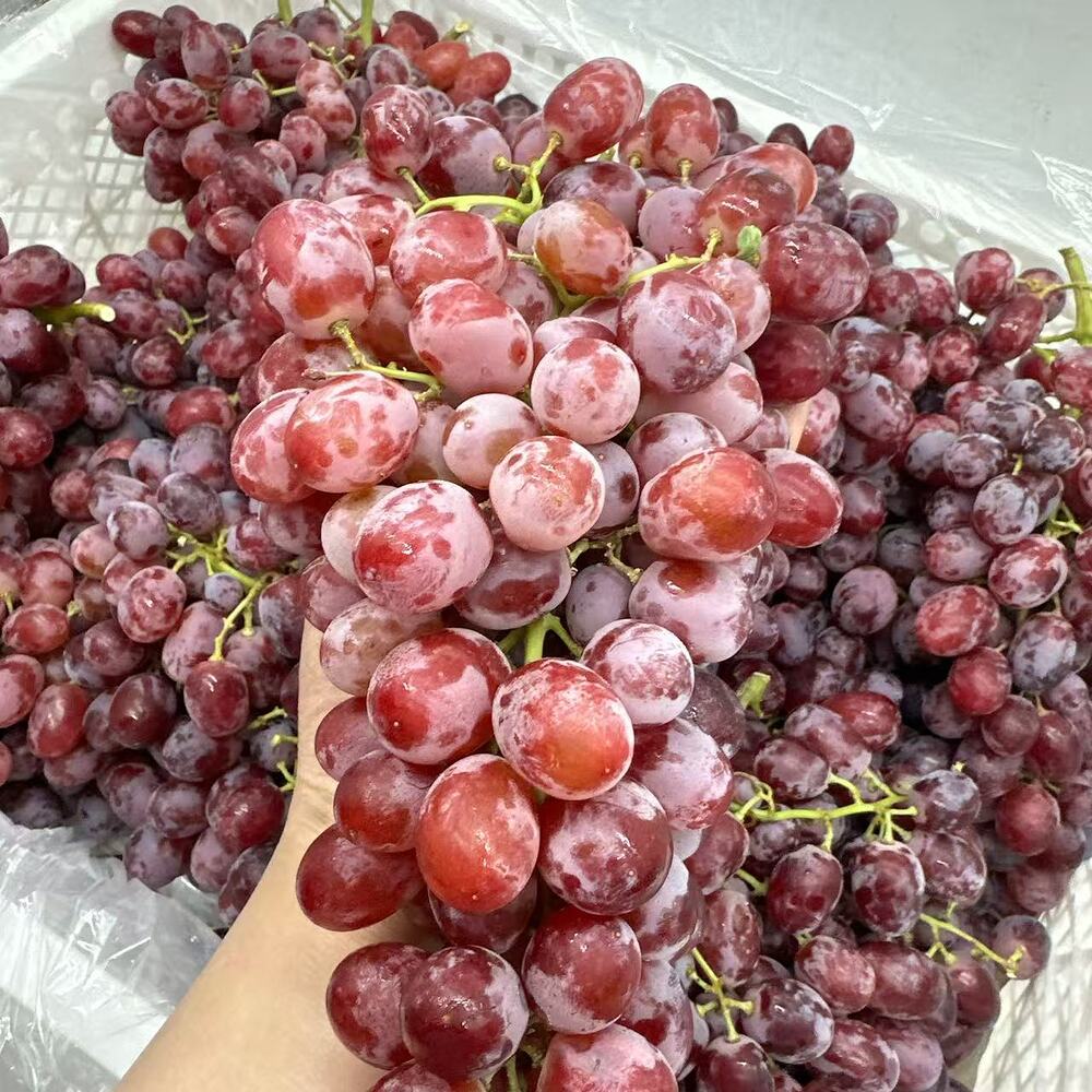 Crimson-Seedless-Grapes---Approx.-1kg-1