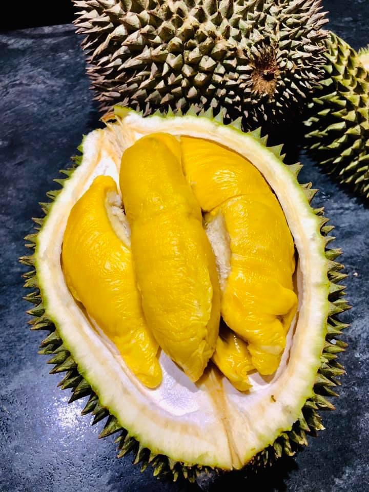D197 Premium Malaysian Musang King Durian - 2kg Each – Umall ...