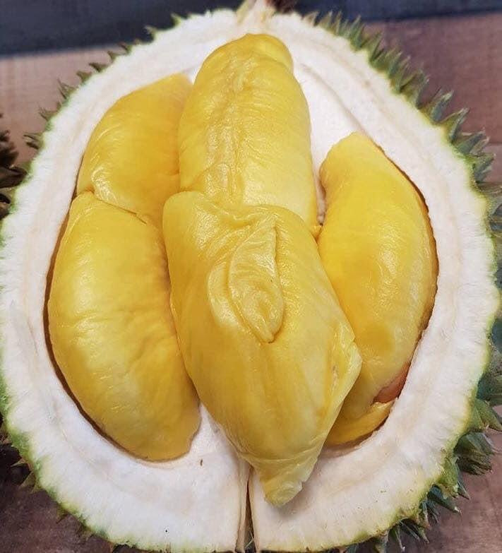 D197 Premium Malaysian Musang King Durian - 1.8kg Each – Umall ...