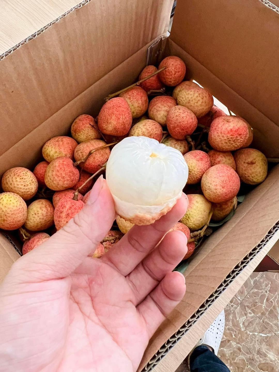 Lychee Sticky Rice Imported Sticky Rice Lychee - 400g – Umall - Australia's Largest Online ...