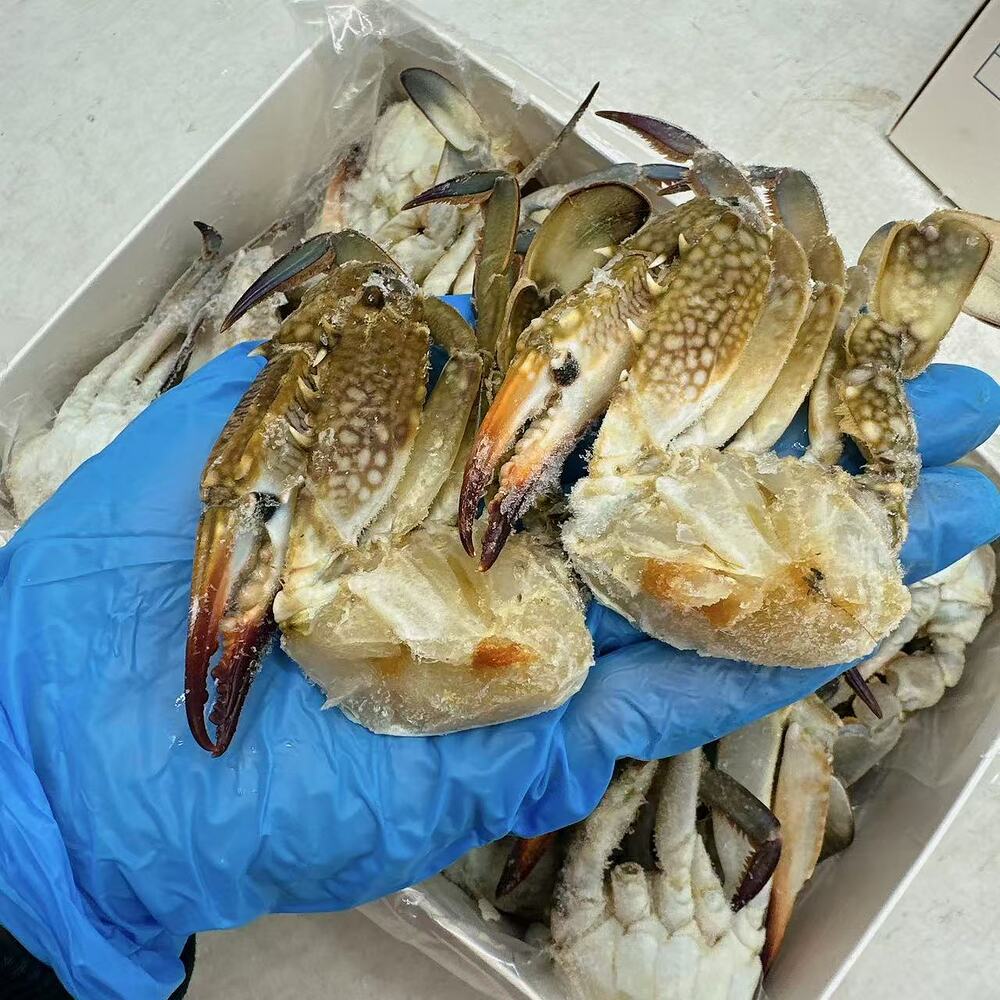 Pacific-Gourmet-Raw-Blue-Swimmer-Crab-Half-Cut-Size-26/30-–-1kg-4