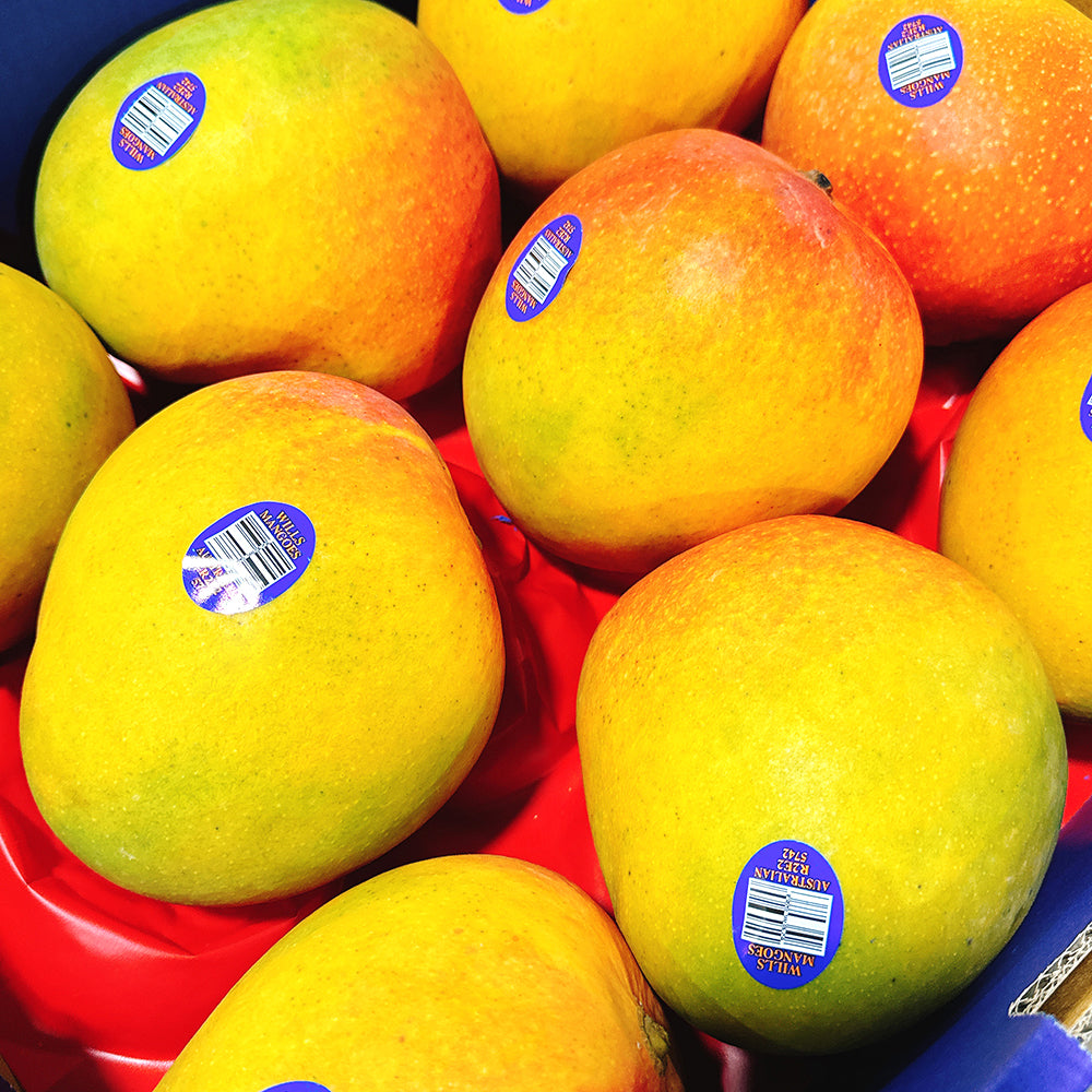 Australian Mango R2e2 R2E2 Mango - Extra Large Size 8, 1 Piece – Umall - Australia's Largest ...