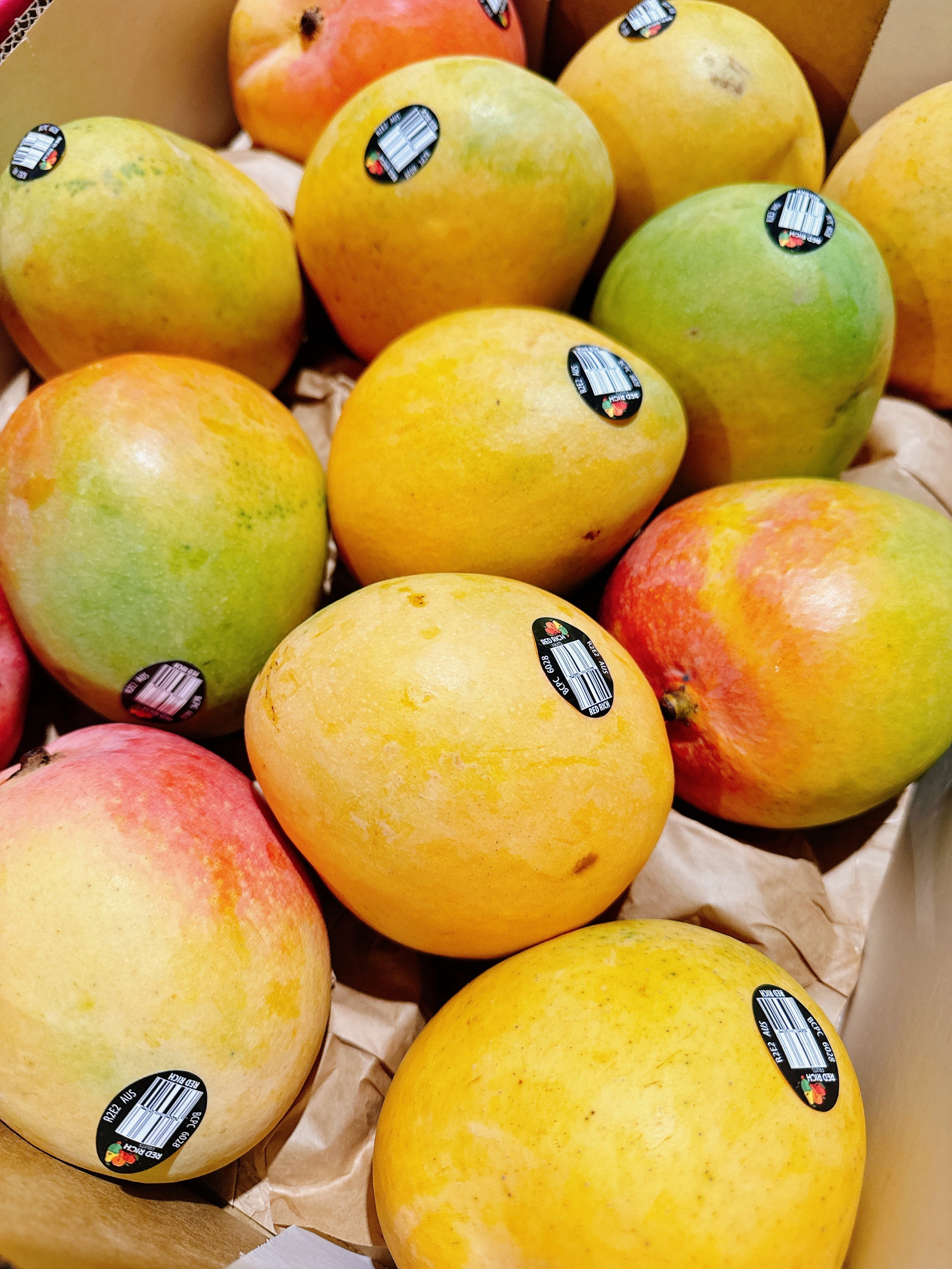 Australian Mango R2e2 R2E2 Mango - Medium to Large, 1 Piece – Umall - Australia's Largest ...