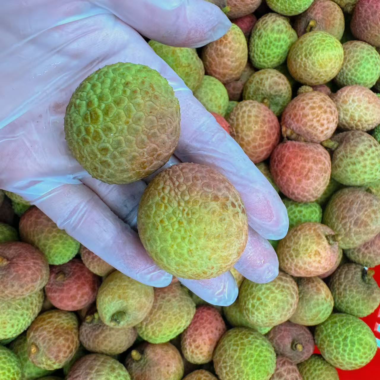 Fresh-Osmanthus-Scented-Lychee---500g-2