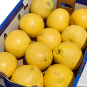 Tất cả trái cây at UMall Australia