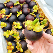 All Fruit at UMall Australia