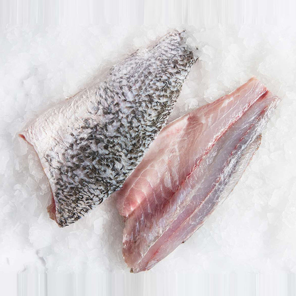 Deep-Sea-Caught-Barramundi-Fillets-800-1000g-1