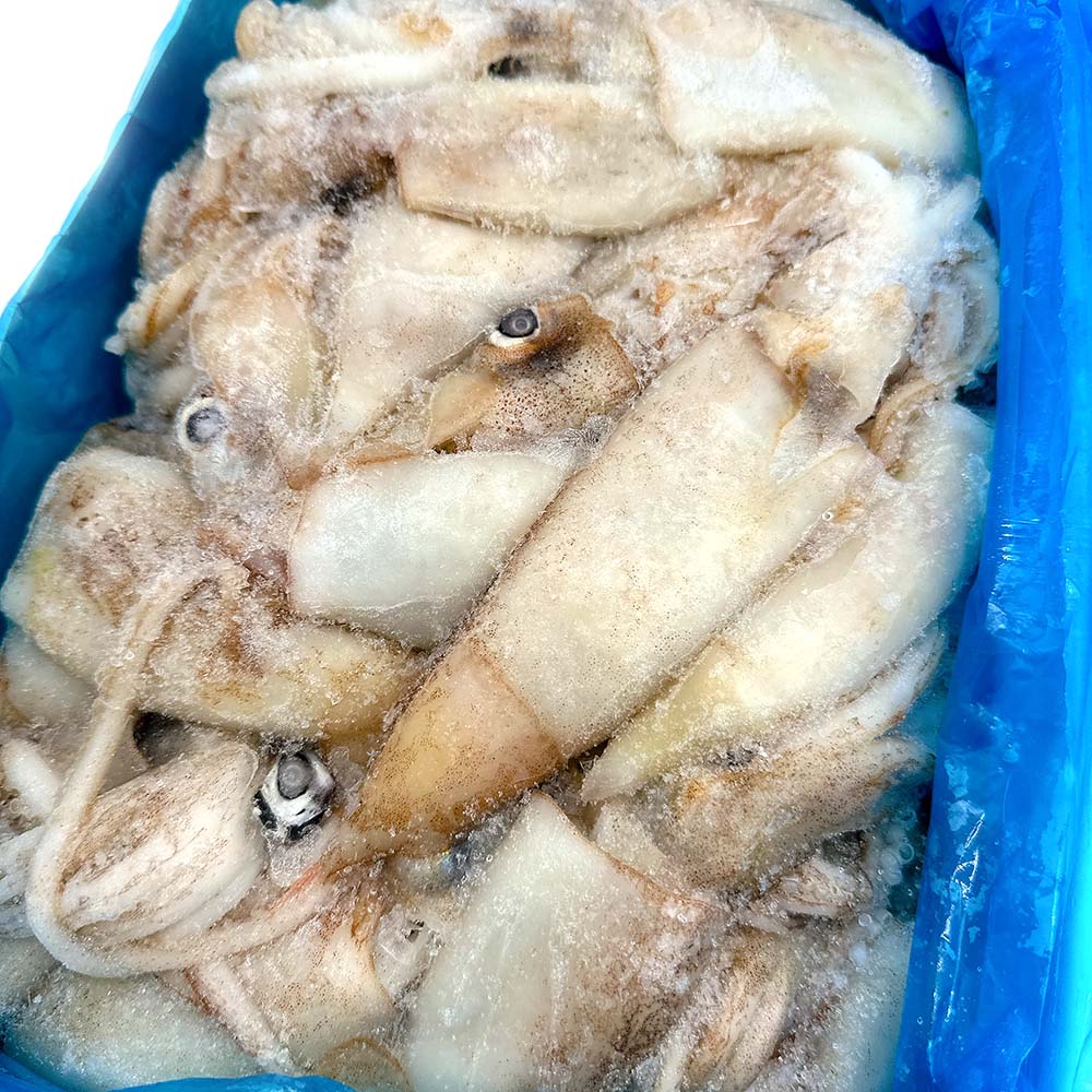Ocean-Caught-Frozen-Squid---4kg-1