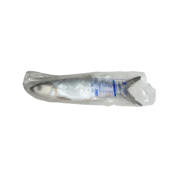 Cá sữa (Milkfish) nguyên con đông lạnh 600-800 g – thịt ngọt, da giòn