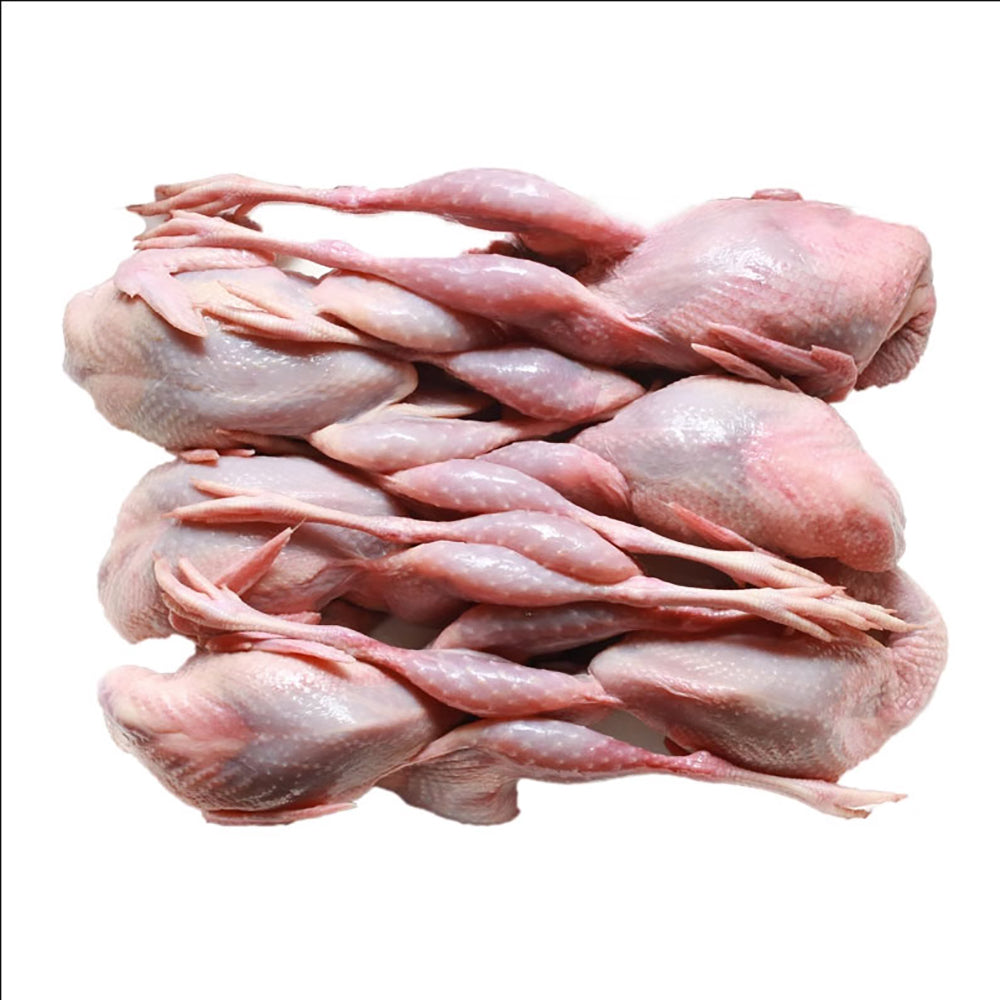 Beautiful view of Quail Care And Nutrition For Frozen Thawed