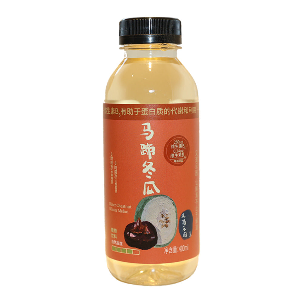 Youke-Paradise-Water-Chestnut-&-Winter-Melon-Drink-400ml-–-Traditional-Cantonese-Cooling-Beverage-1