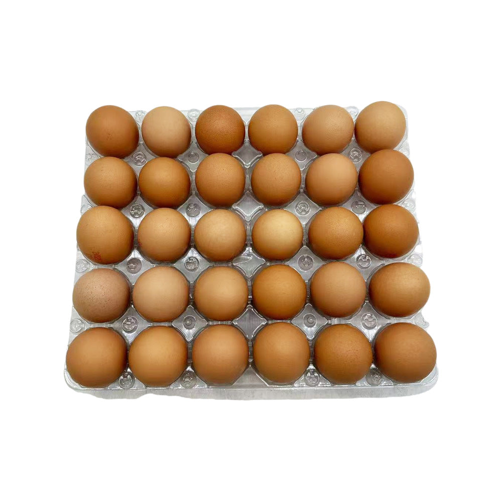 Pace-Farm-Free-Range-Large-Eggs---30-Pack-(1.75kg)-3