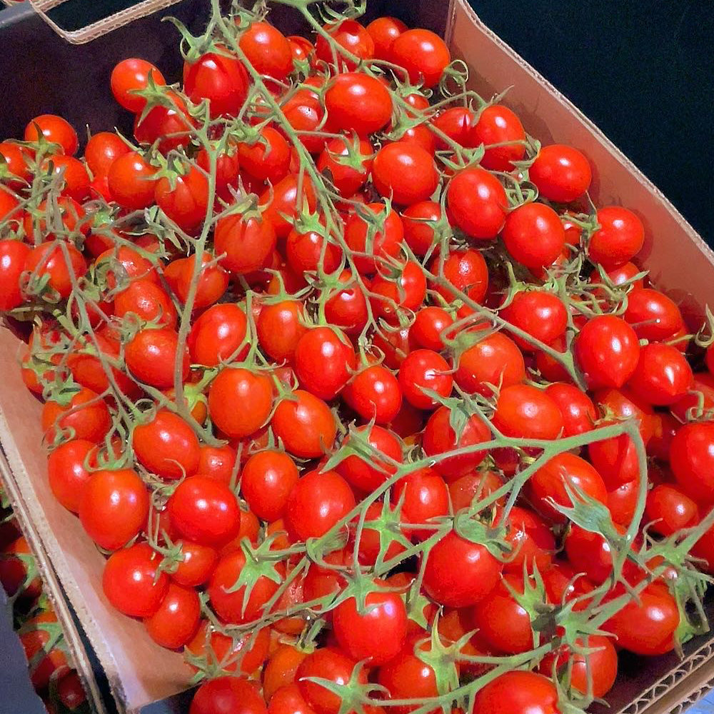 Super Sweet Roma Cherry Tomatoes - Box of 4.8kg | Umall - Sydney's ...