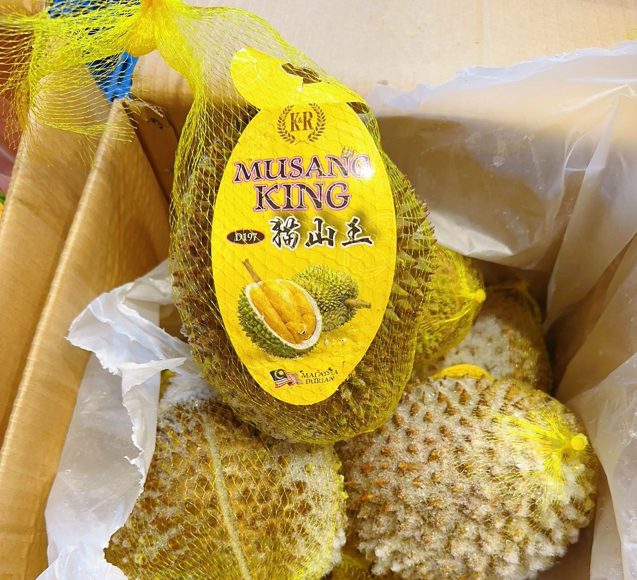 Netted D197 Musang King Durian - 1.2kg Each – Umall - Australia's ...
