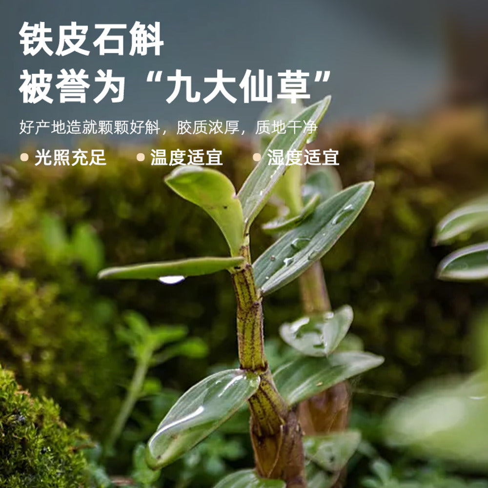 Jiaoqu-Fish-Maw-&-Dendrobium-Mung-Bean-Dessert-160g---Ready-to-Eat-Sweet-Soup-Cup-2