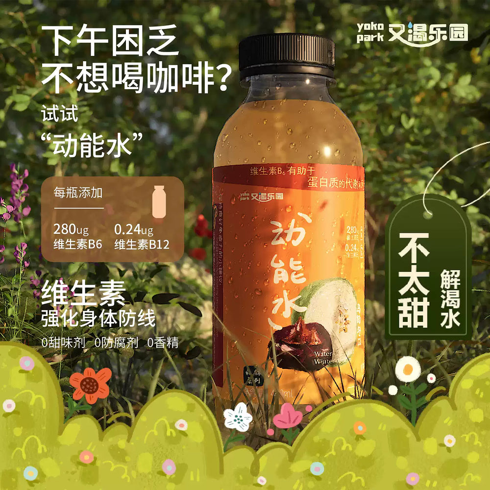 Youke-Paradise-Water-Chestnut-&-Winter-Melon-Drink-400ml-–-Traditional-Cantonese-Cooling-Beverage-2