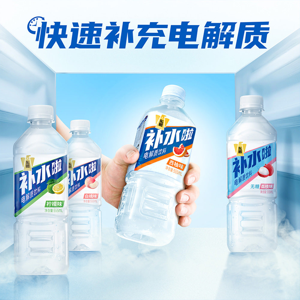 Dongpeng-Hydration-Electrolyte-Drink-Lemon-555ml-2