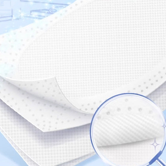 Giấy Vệ Sinh Tempo Classic Natural 4 Lớp 10 Cuộn – không mùi, êm ái