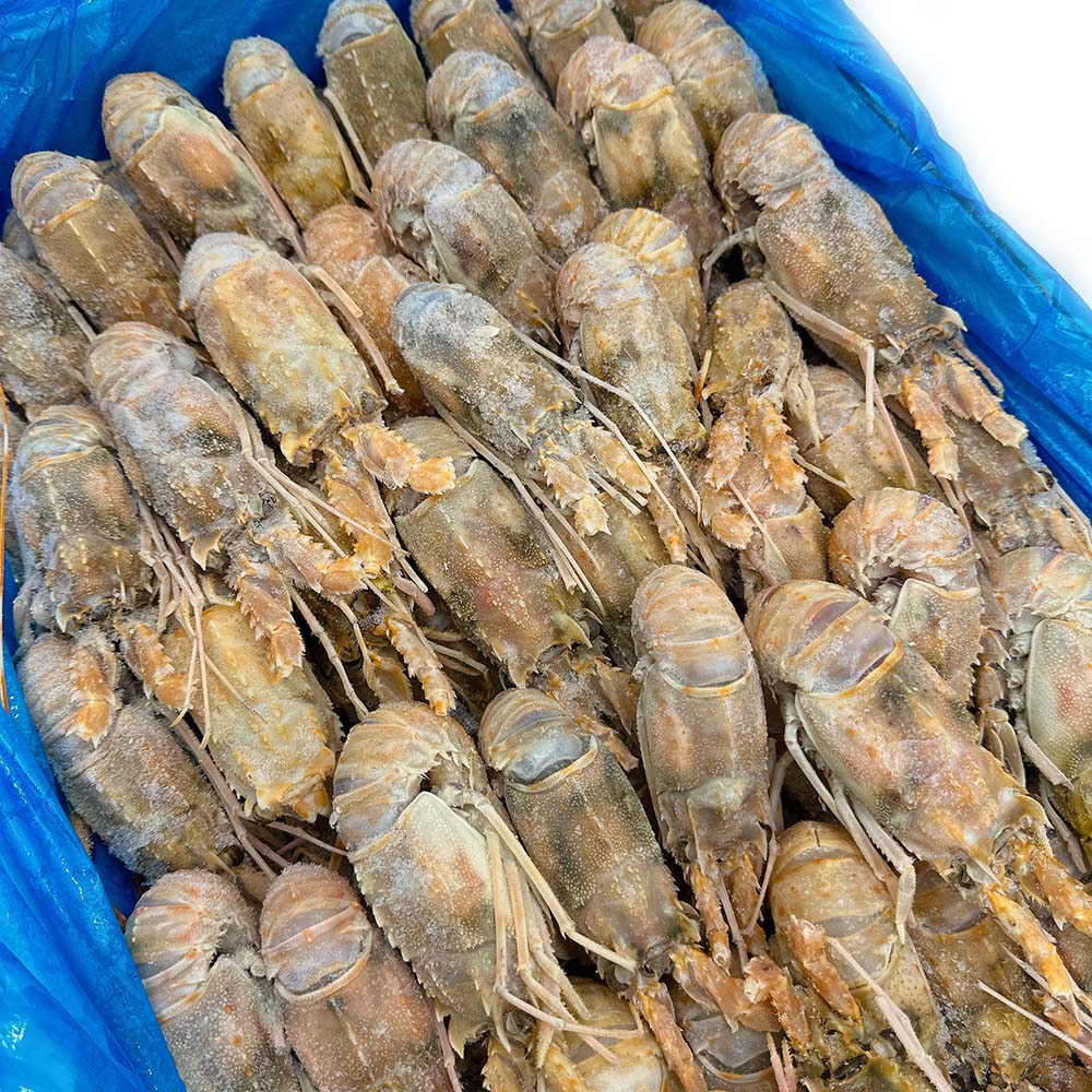 Ocean-Caught-Frozen-Large-Lobster-Claws---15-Pieces,-1kg-1