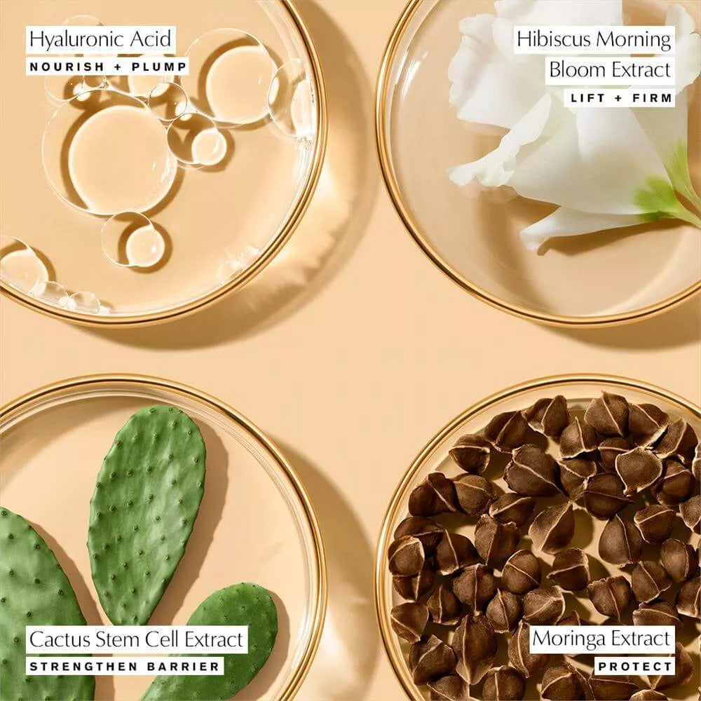 est-e-lauder-revitalizing-supreme-youth-power-creme-75ml-2