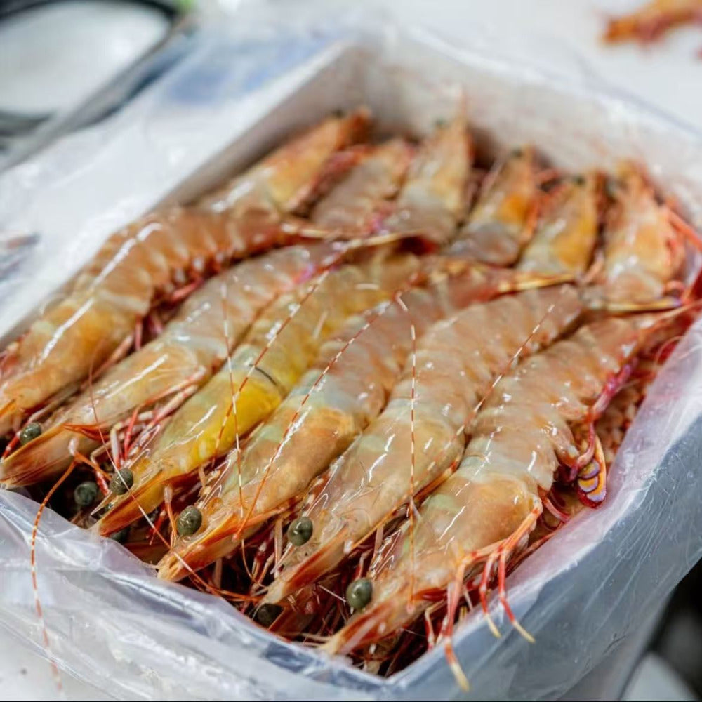Skull-Island-Ocean-Caught-Tiger-Prawns-U9/12-–-Frozen-3kg-2