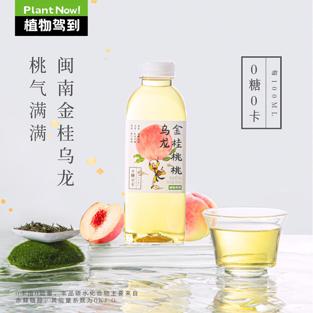Zhiwu-Jiadao-Sugar-Free-Golden-Osmanthus-Peach-Oolong-Tea-500ml-x-15-Bottles-(Case)---Unsweetened-Osmanthus-&-Peach-Oolong-2
